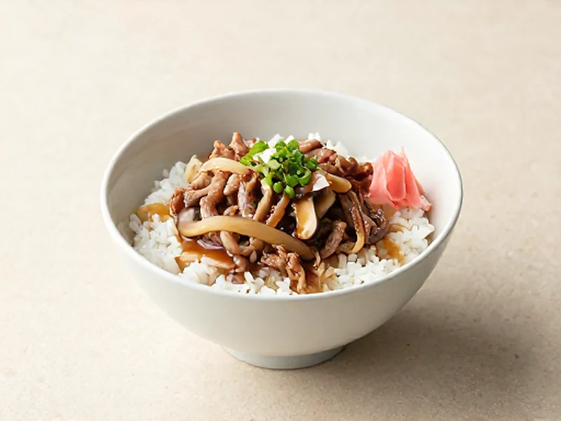Gyudon (Beef & Onion Rice Bowl) finished and ready to serve
